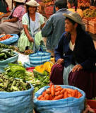 Tarija market