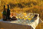 Our safari guides added a touch of elegance on our last night in the park