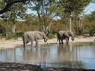 Elephants seemed peaceful at this idyllic site
