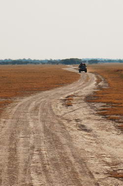 Safari jeep on a desert road