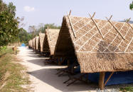 Row of thatched roofs over tents